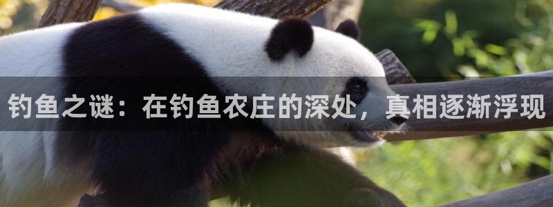 FH至尊黑