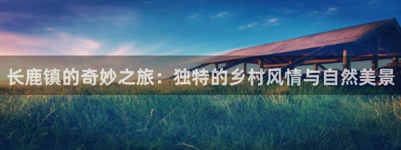 FH至尊是什么意思