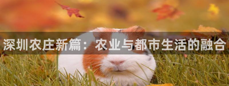fh至尊游戏玩法