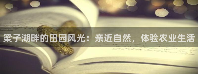 fh至尊品牌介绍