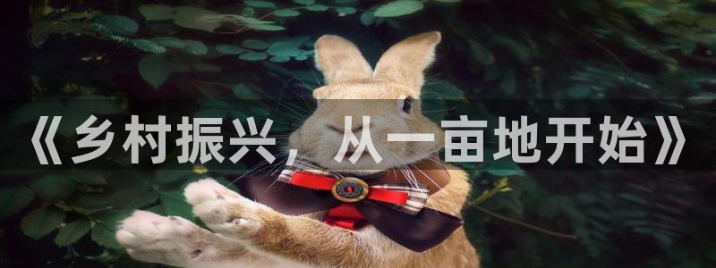 FH至尊怎么样