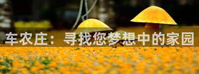 fh至尊平台登录wap