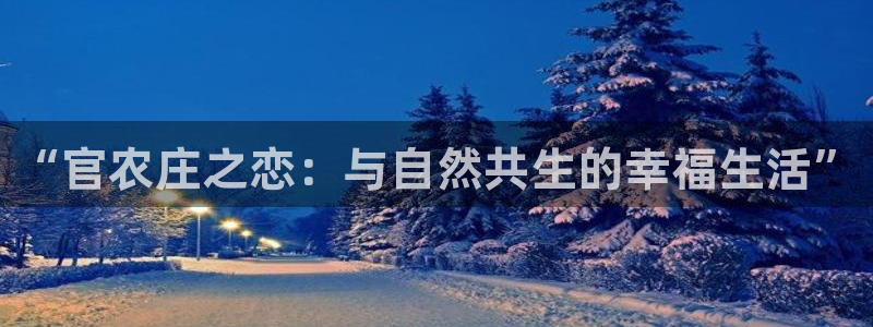 fh至尊平台APP