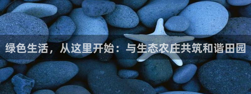 老凤凰改名FH至尊黑钱