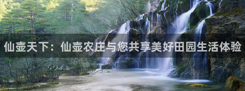 fh至尊游戏模式