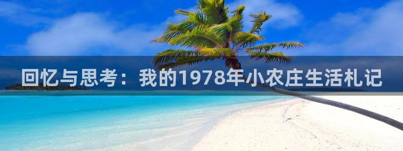 fh至尊品牌介绍