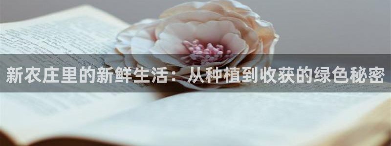 fh至尊是什么牌子