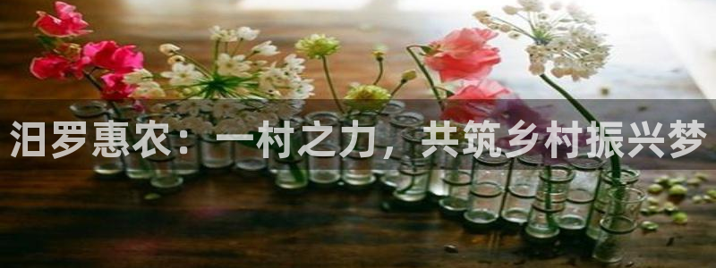 fh至尊是什么平台