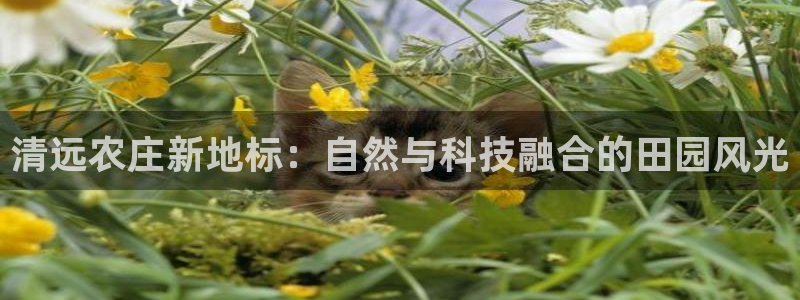 FH至尊登录官网