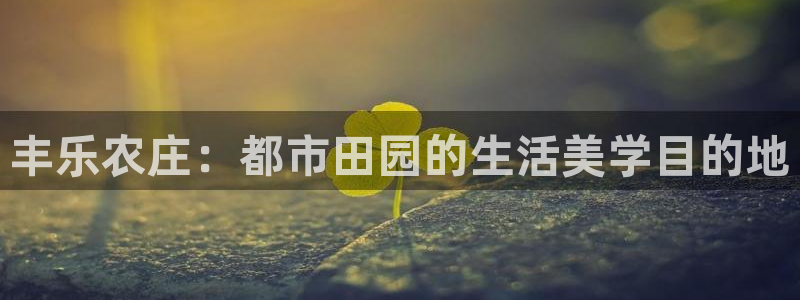 凤凰至尊FH正常登录