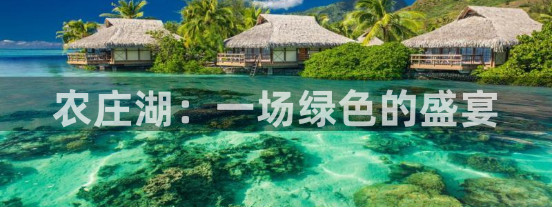 fh至尊怎么没有了