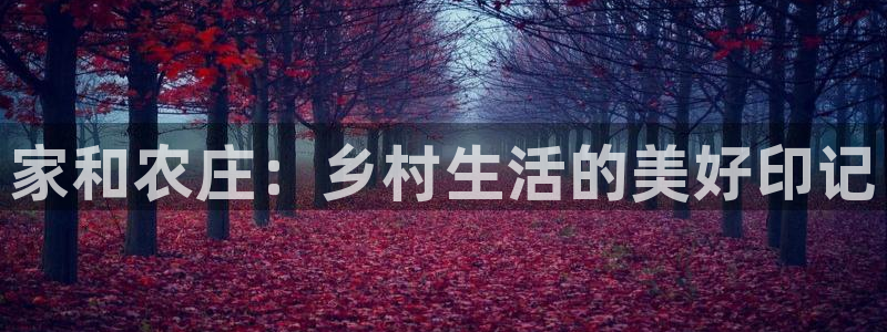 FH至尊信誉怎么样