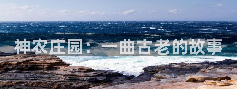 FH至尊属于哪里啊公司