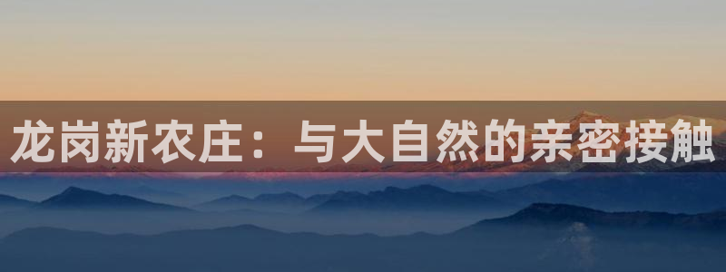 FH至尊平台