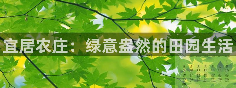 fh至尊平台冻结
