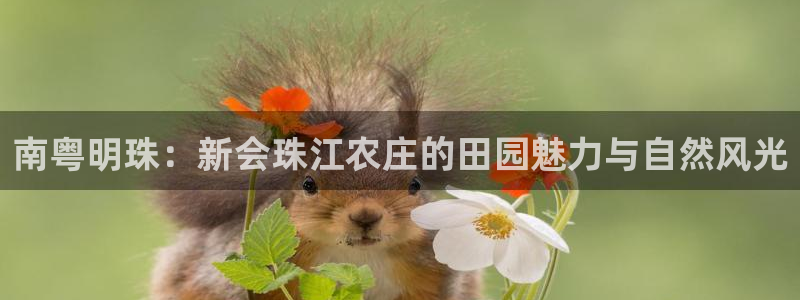 FH至尊下载