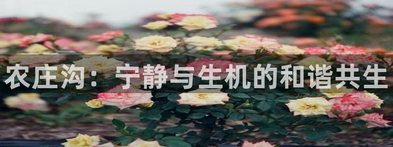 fh至尊怎么安装