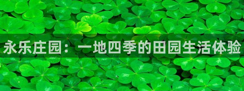 FH至尊公安