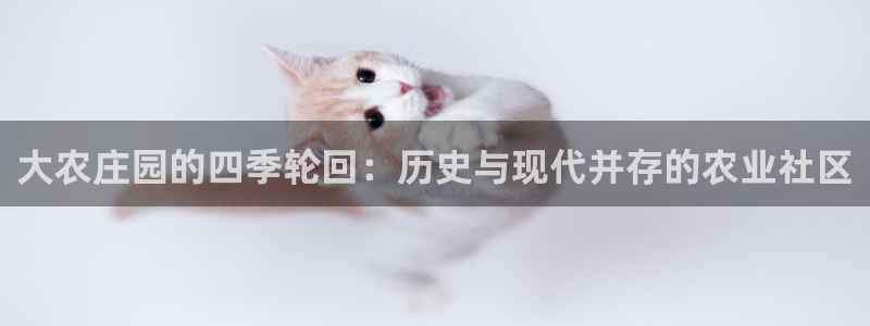 FH至尊公安