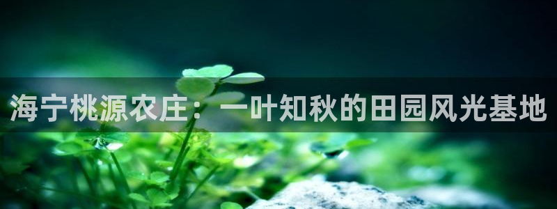 fh至尊怎么登录