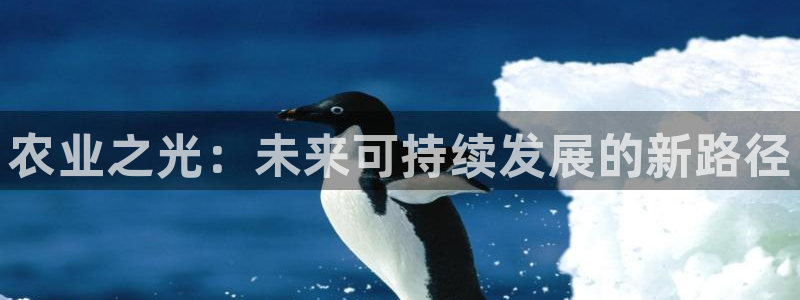 FH至尊隶属哪家公司