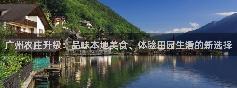 凤凰至尊fh凤凰版0a