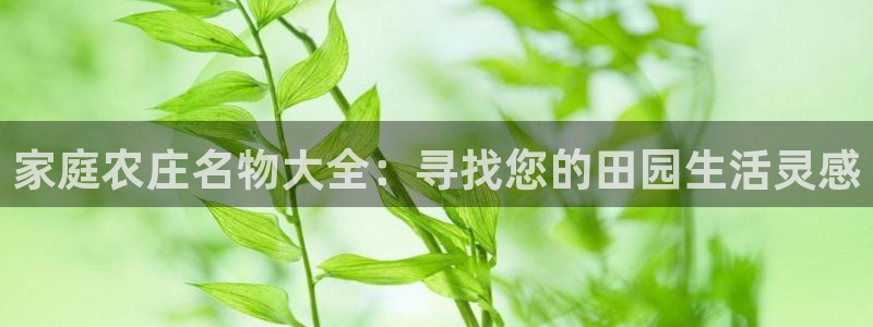 fh至尊版手机app