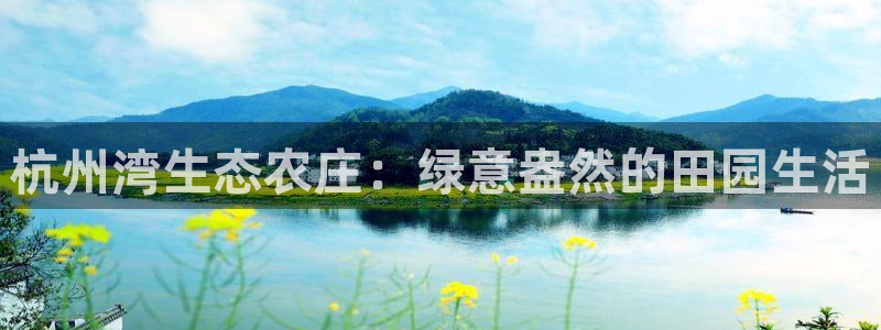 fh至尊凤凰