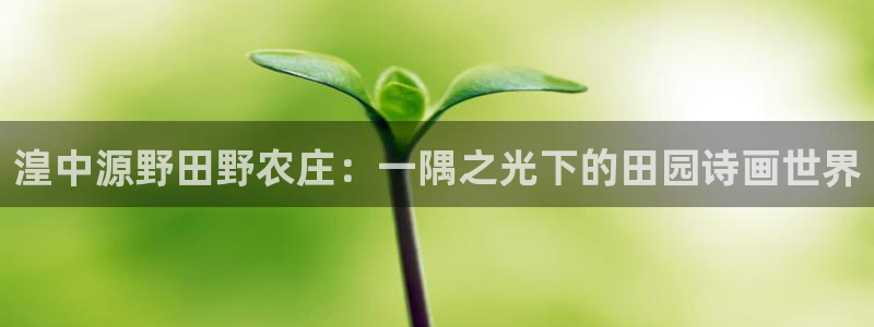 fh至尊 华娱124.com