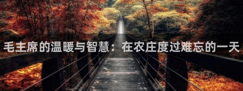 FH至尊凤凰平台登录