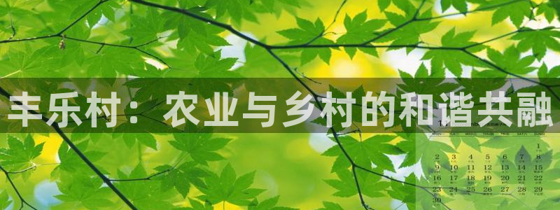 fh至尊代理