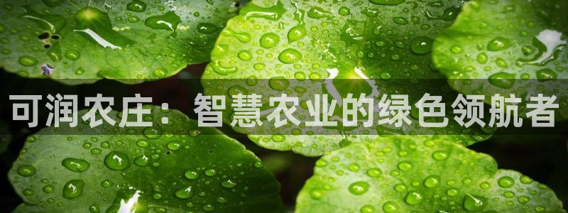 FH至尊属于哪里啊公司