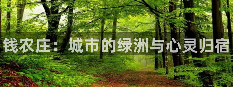 FH至尊怎么样