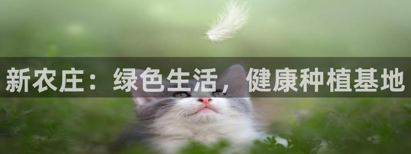 至尊FH