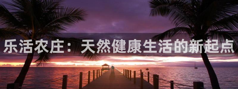 FH至尊平台老板是谁