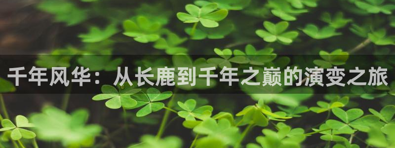 至尊FH下载