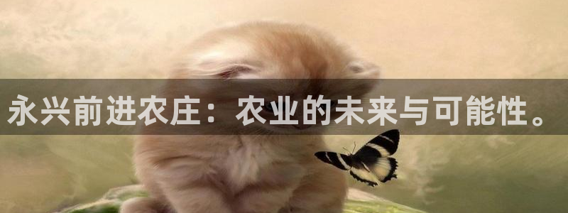 fh至尊提现不了