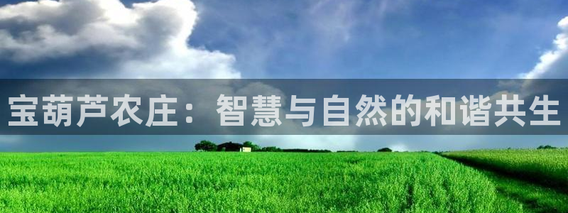 FH至尊登录官网