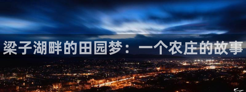 FH至尊是什么意思