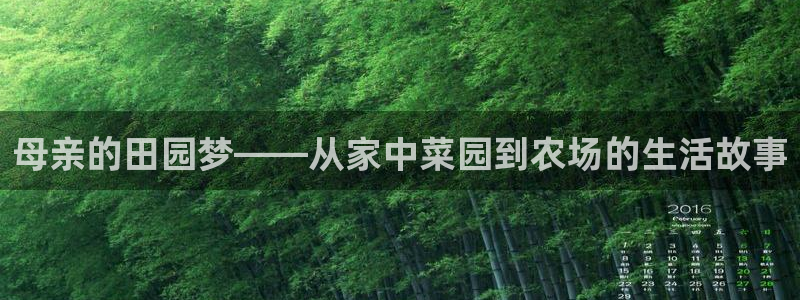fh至尊手机端进不去