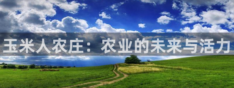 FH至尊公安