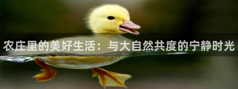 FH至尊娱乐下载二维码