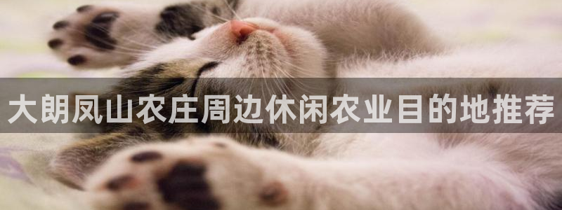 fh至尊凤凰是黑网