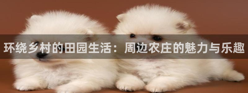 fh至尊双色球开奖结果