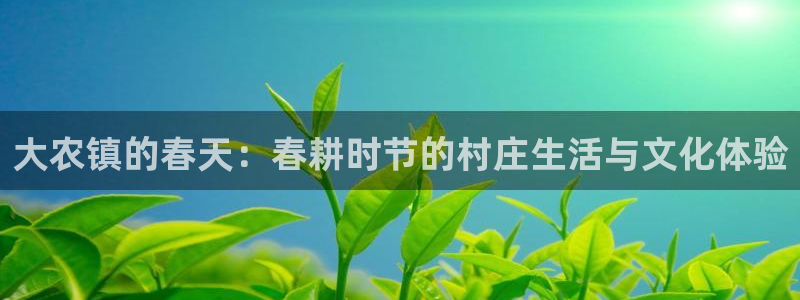 FH至尊app