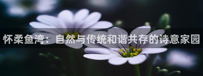 FH至尊属于哪里啊公司
