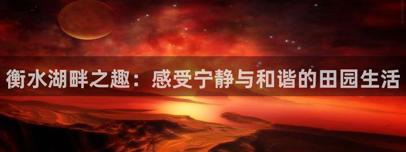 fh至尊提现不了