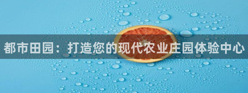 fh至尊游戏模式