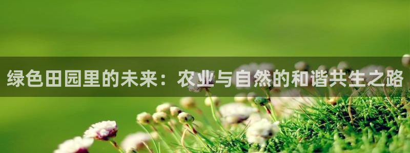 fh至尊平台简介