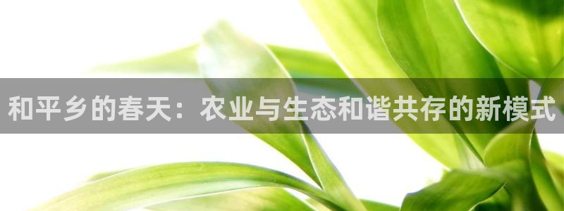 FH至尊信誉怎么样